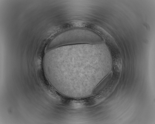 X0000110940556200907101249