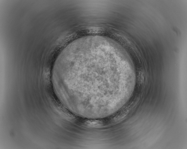 X0000110940557200907101249