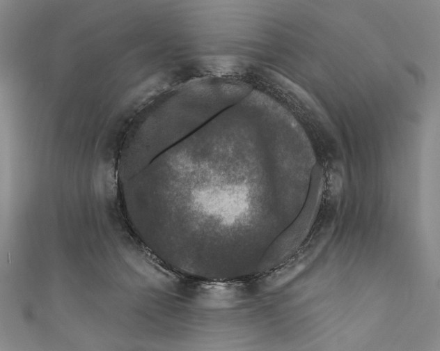 X0000110940558200907101249