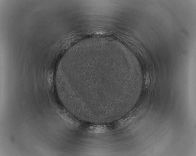 X0000110940559200907101249