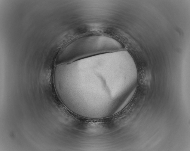 X0000110940560200907101249