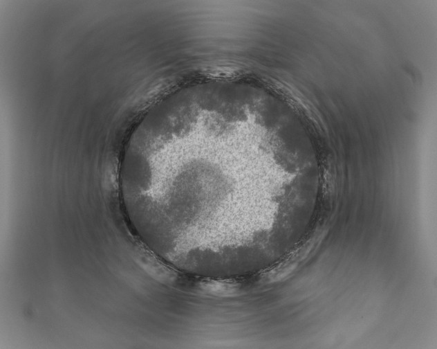 X0000110940561200907101249