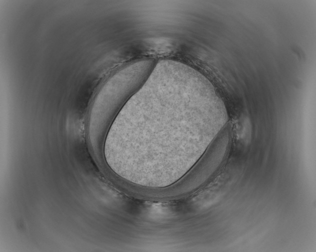 X0000110940564200907101249