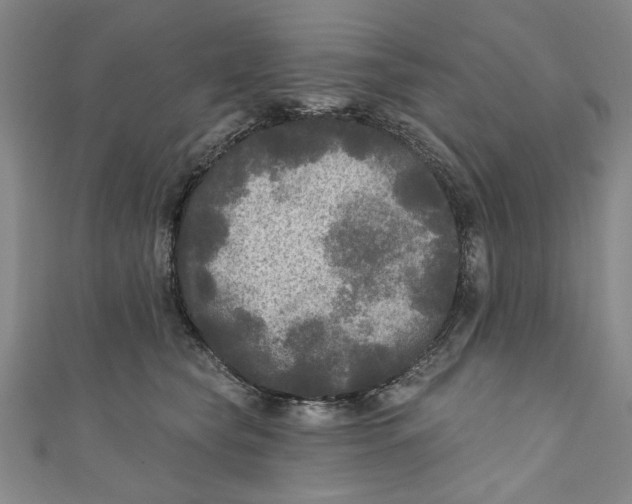 X0000110940565200907101249