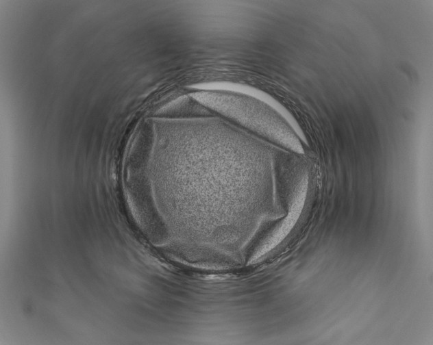 X0000110940566200907101249