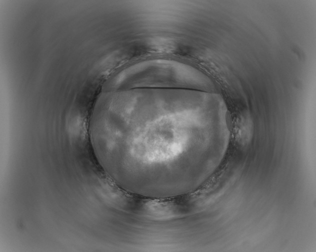 X0000110940568200907101249