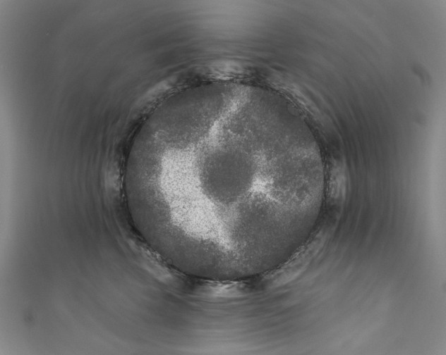 X0000110940569200907101249