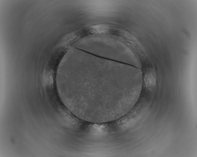 X0000110940570200907101249