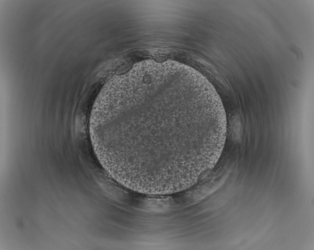 X0000110940571200907101249