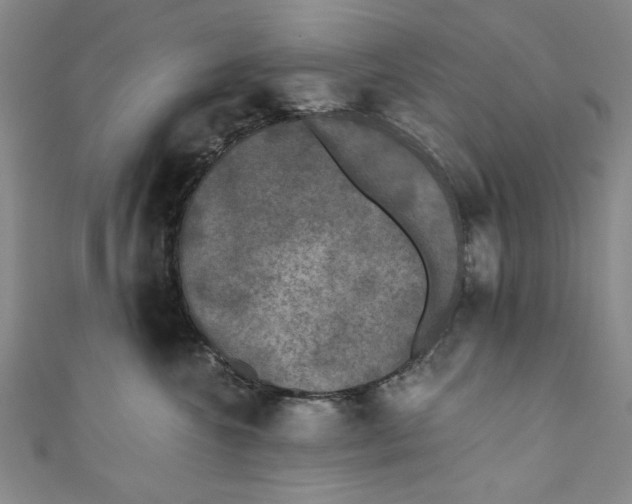 X0000110940572200907101249