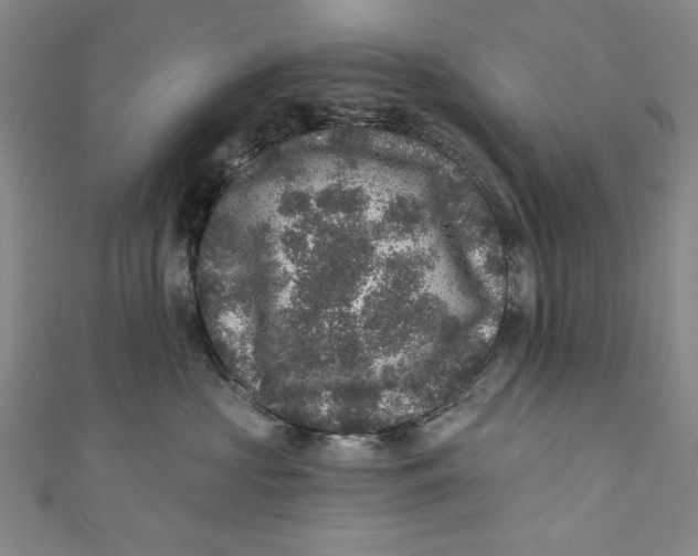 X0000110940573200907101249