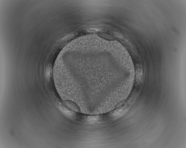 X0000110940574200907101249