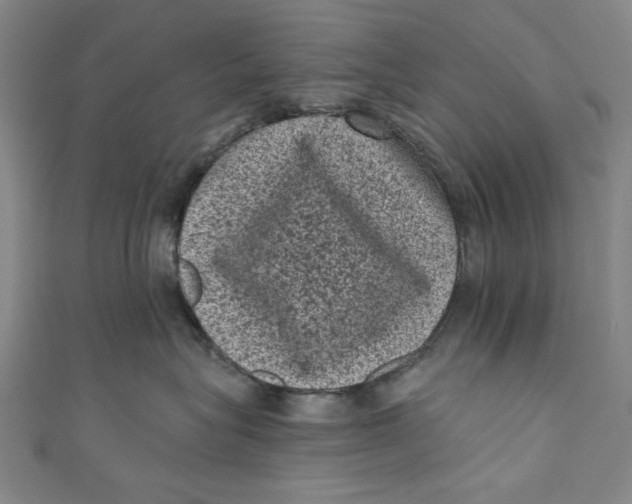 X0000110940575200907101249