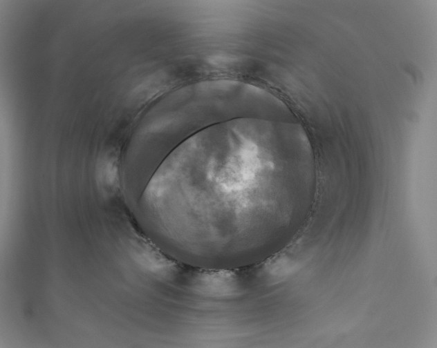 X0000110940576200907101249