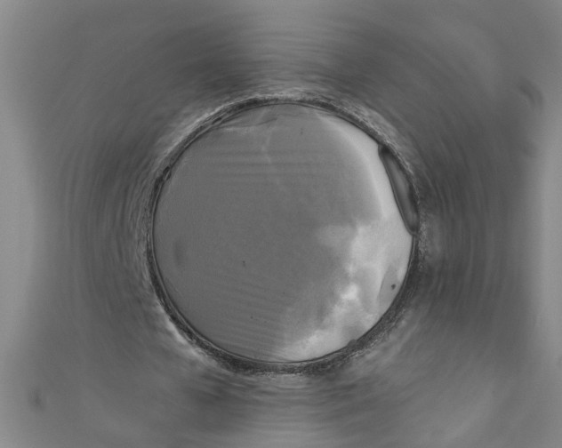 X0000110940577200907101249