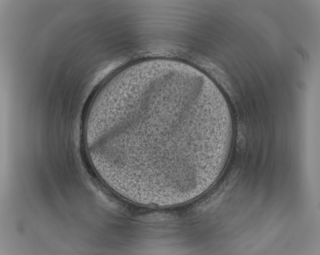 X0000110940578200907101248