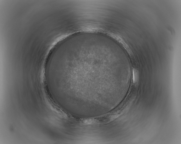 X0000110940579200907101248