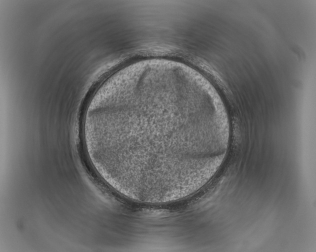 X0000110940582200907101248