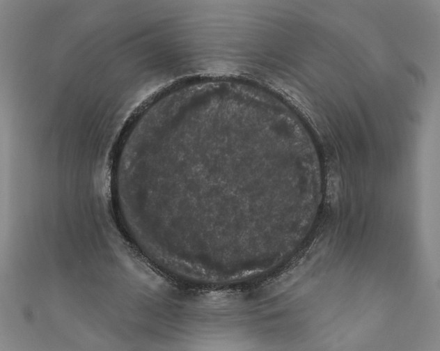 X0000110940584200907101248