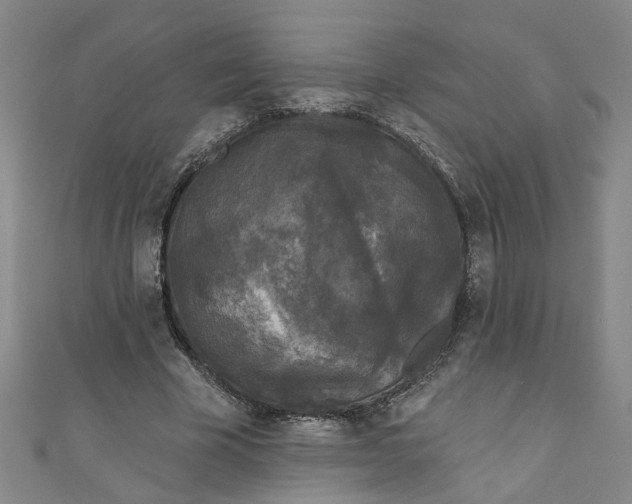 X0000110940585200907101248