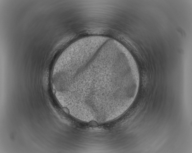 X0000110940586200907101248