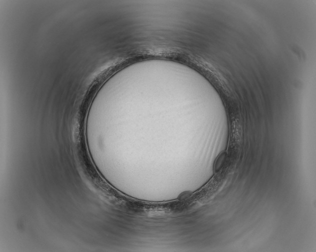 X0000110940587200907101248