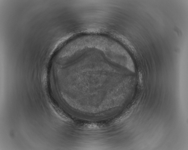 X0000110940588200907101248