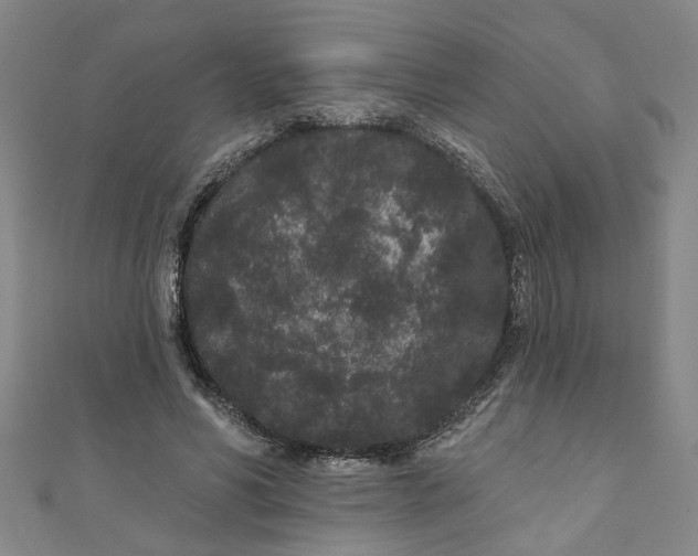 X0000110940590200907101248
