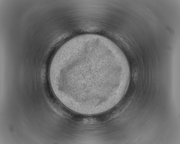 X0000110940591200907101248