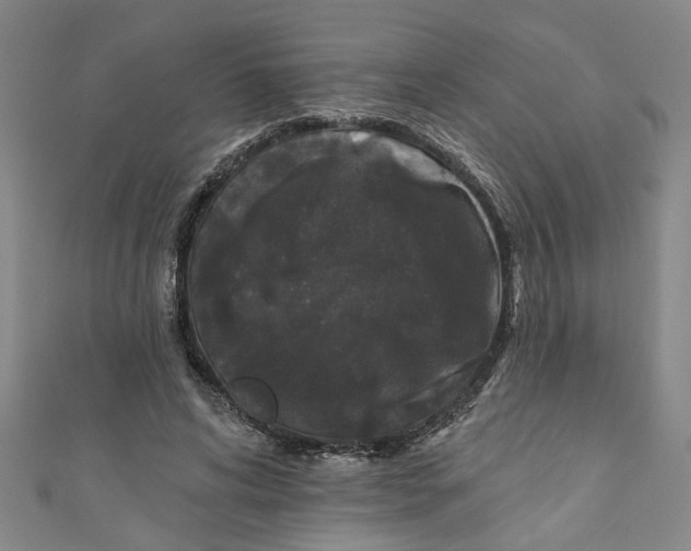 X0000110940592200907101248