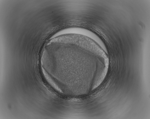 X0000110940593200907101248