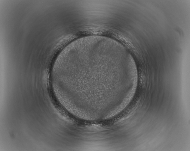 X0000110940594200907101248