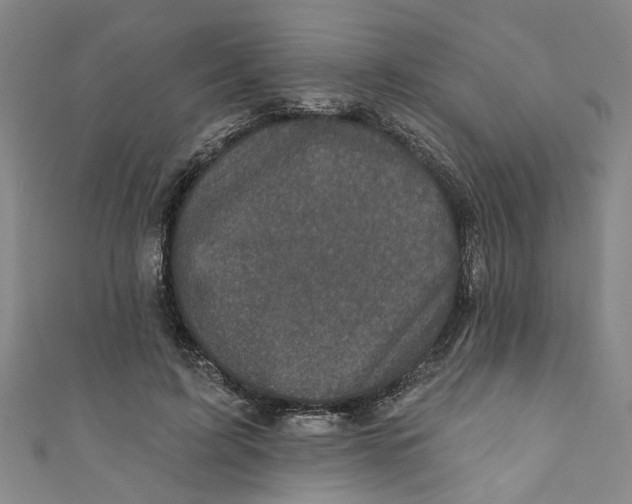 X0000110940595200907101248