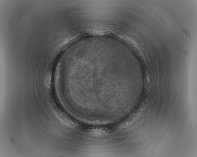 X0000110940596200907101248