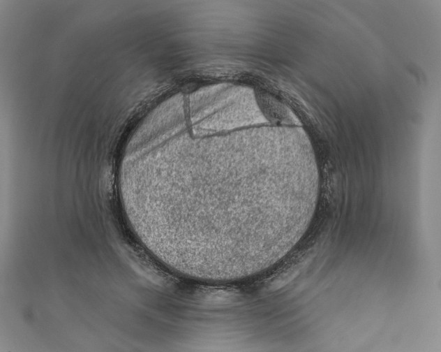 X0000110940597200907101248