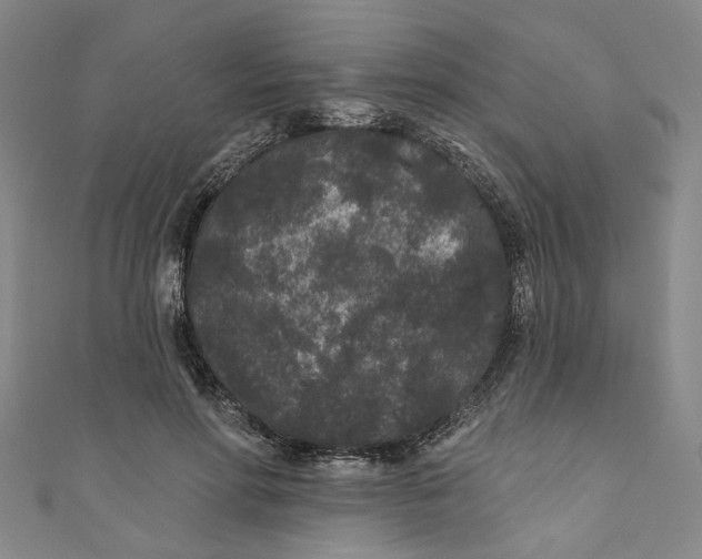 X0000110940598200907101248