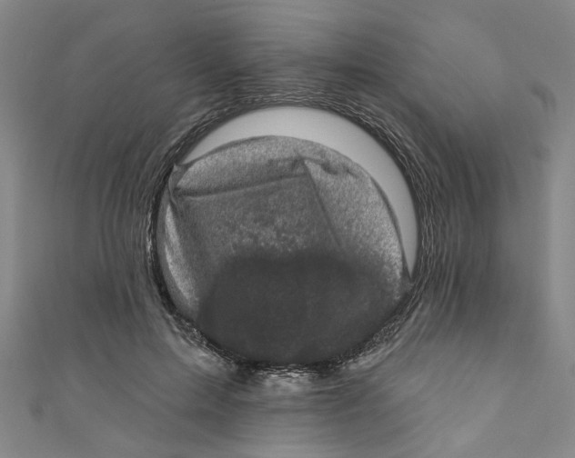 X0000110940599200907101248