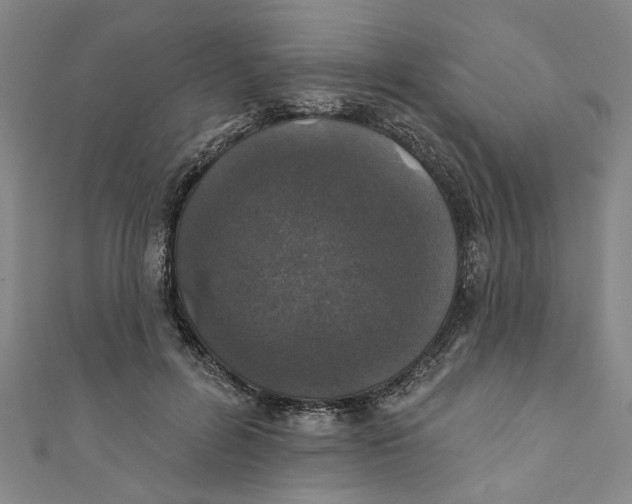 X0000110940600200907101248