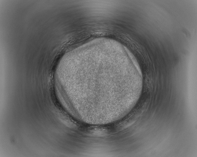 X0000110940601200907101248