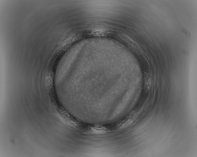 X0000110940603200907101248
