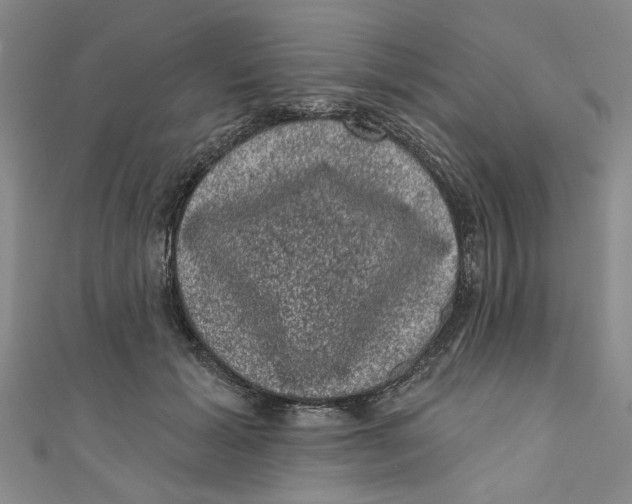 X0000110940605200907101248