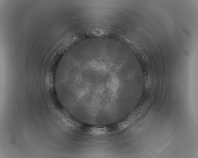 X0000110940606200907101248