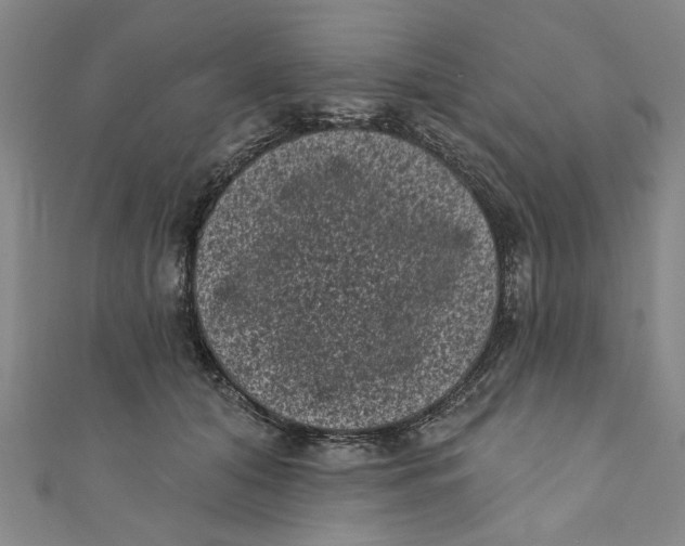 X0000110940608200907101248