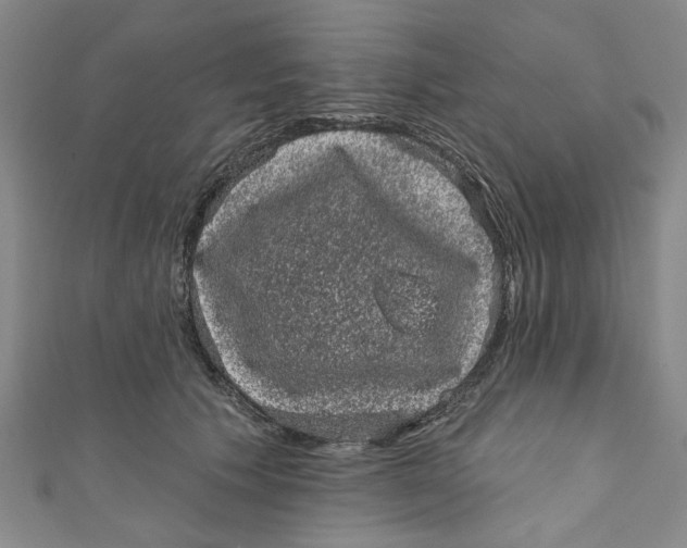 X0000110940609200907101248