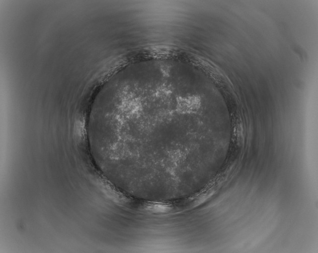 X0000110940610200907101248