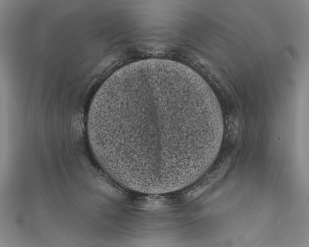 X0000110940612200907101248