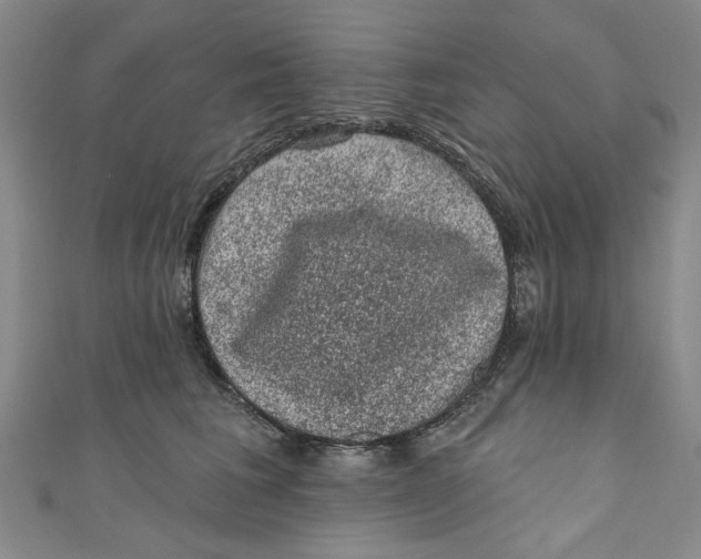 X0000110940613200907101248