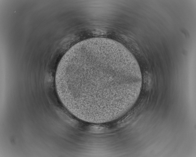 X0000110940614200907101248