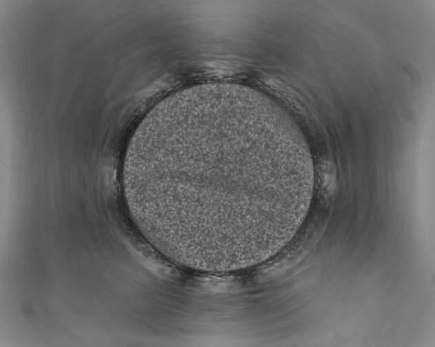 X0000110940615200907101248