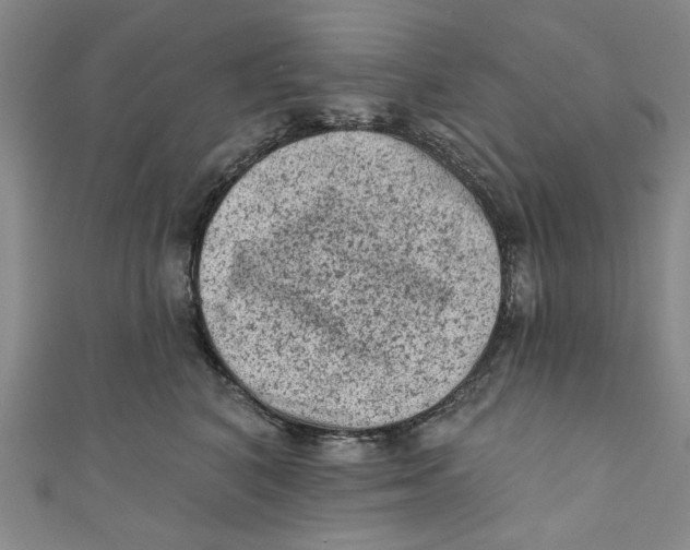 X0000110940616200907101248